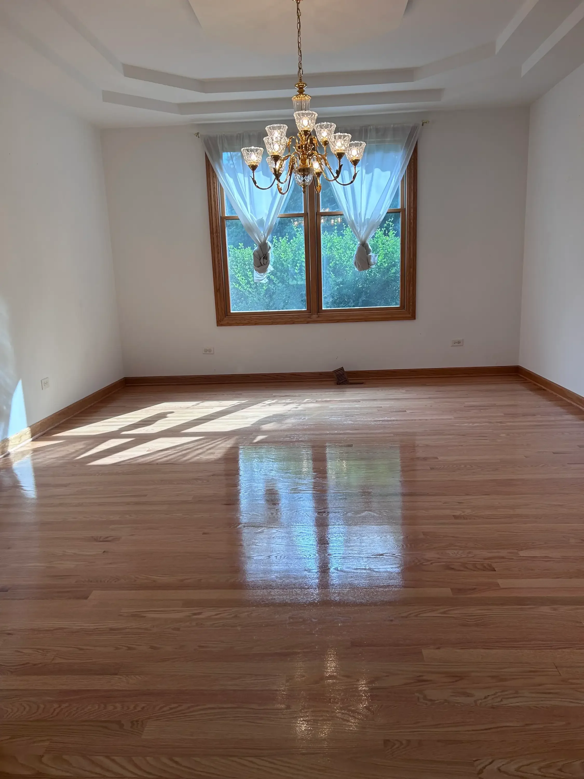Polished hardwood floor with glossy finish in residential room with wood-framed windows