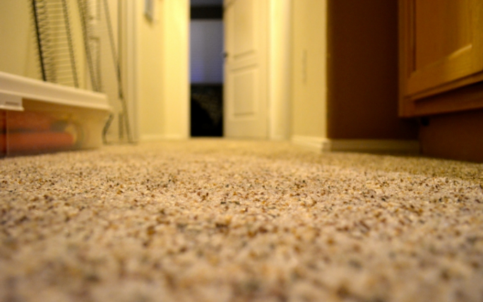 Carpet Maintenance Solutions for Pet Owners | SCV Floorsmith